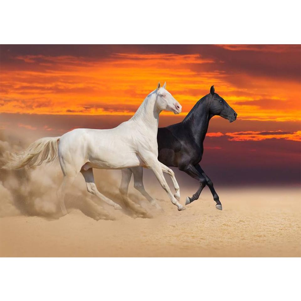 5D DIY Diamond Painting Animal Cross Stitch Kit Full Diamond Embroidery Horse Rhinestone Picture Mosaic Home Decoration Gift