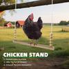 Chicken Swing Chicken Stand Parrot Suspension Bridge Pet Bird Toy Habitat Solid Wood Rooster Toy
