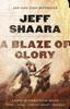 A Blaze of Glory von Jeff Shaara Taschenbuch 9780345527363