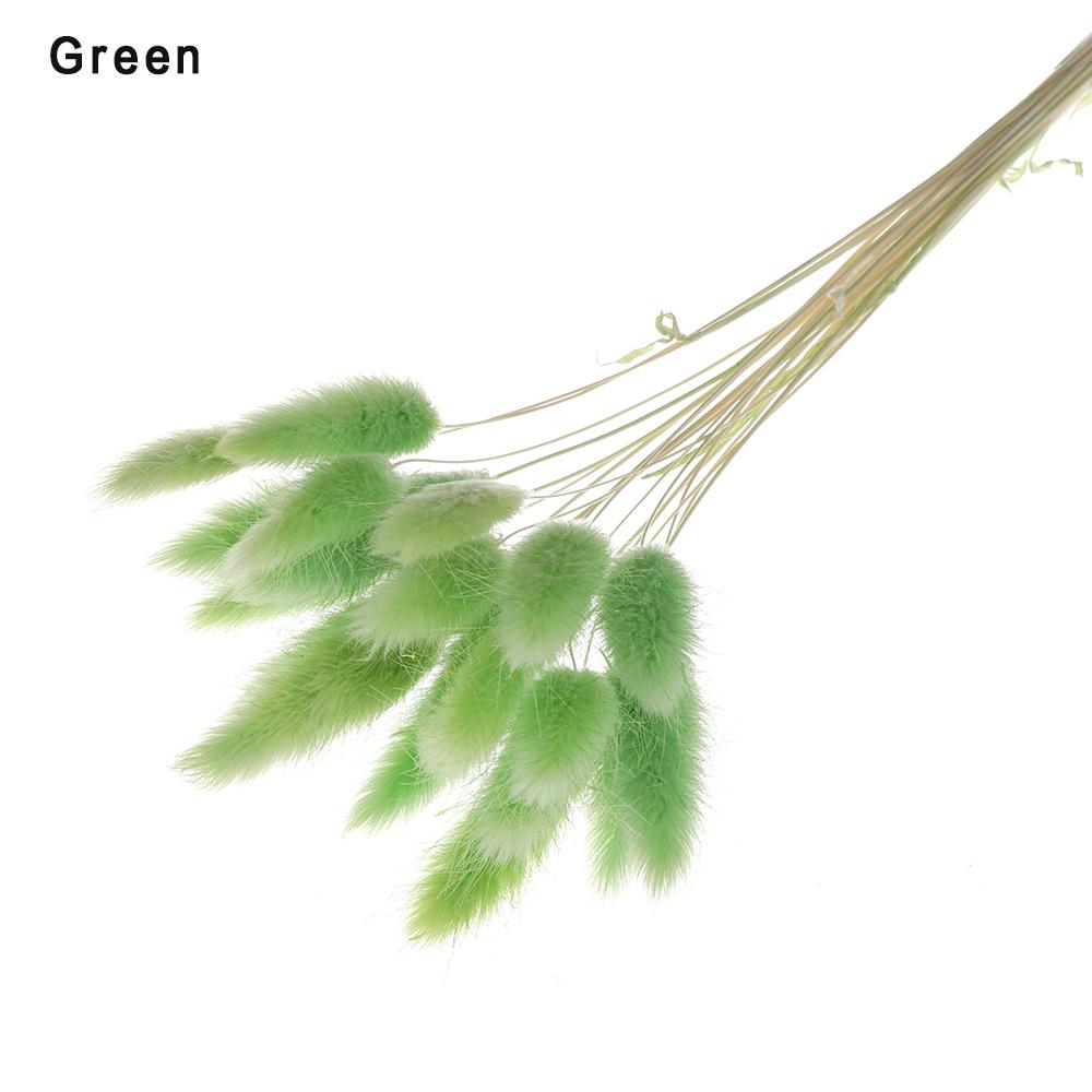 20 ks/svazek Přírodní sušené květiny Králičí ocas Umělé květiny Barevné falešné králičí ocásky Kytice Pastorační styl Foto Pr
