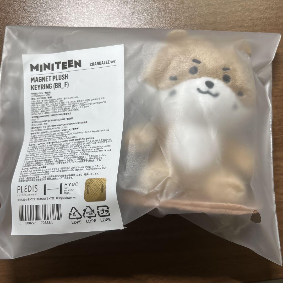 

[USED] SEVENTEEN MINITEEN Mini Teen Dino Magnetic Key Ring