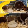 Hamster Bathtub Transparent Sand Bath Box Splash Proof Hamster Bathroom Small Animal Toilet