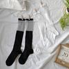 [2SET/26SS] Minette See-through Block Knee Socks 2 Pairs 2 Colors