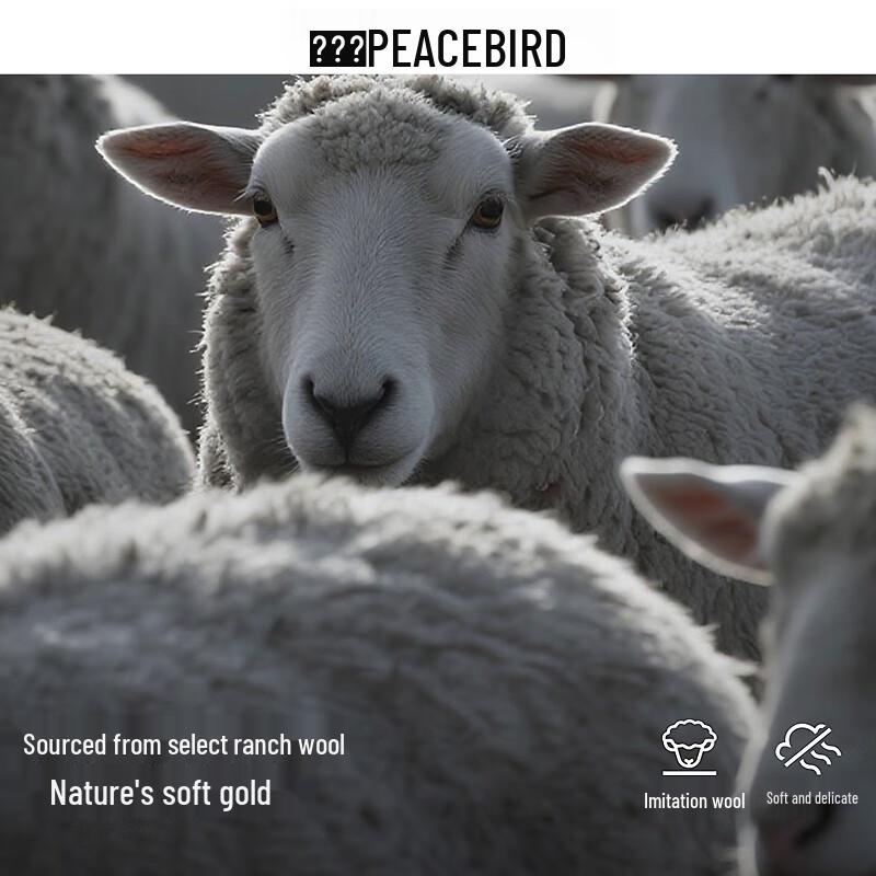 PEACEBIRD Men's Loose-Fit Wool Blend Puppy Jacquard Sweater