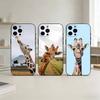 G-Giraffe Funny A-Animal Phone Case For iPhone 17,16,15,14,13,12,11 Plus,Pro Max,SE4Soft Silicone Black Cover
