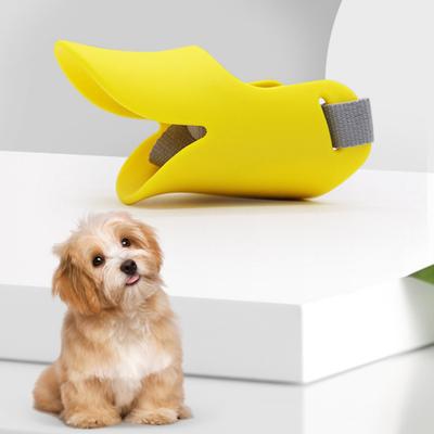 Köpek – Eğitim ve Öğretim Araçları