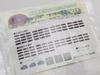 Railway Collection Iron Collection Abukuma Express Type 8100 Set B Diorama Supplies 2-Car