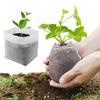 Biodegradable Seed Nursery Bags Non-Woven Plants Seeding Nursery Bags Fabric Seedling Starter Bags for Flower Vegetable Grow