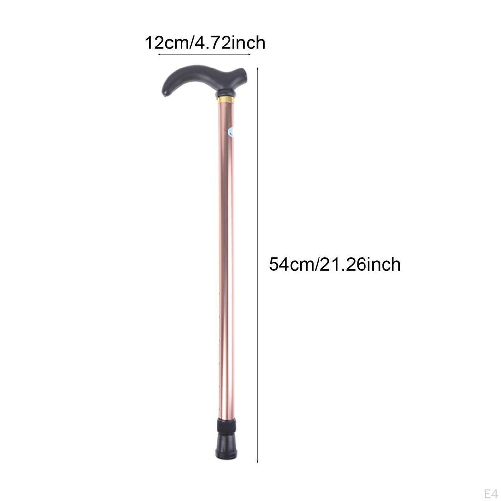 Trekking Pole Crutch Portable Walking Cane for Travel Camping Mountaineering Black