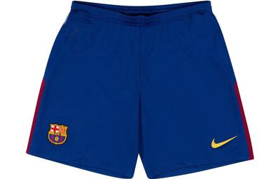 Sports Shorts Men's Blue Moderate 847257-455