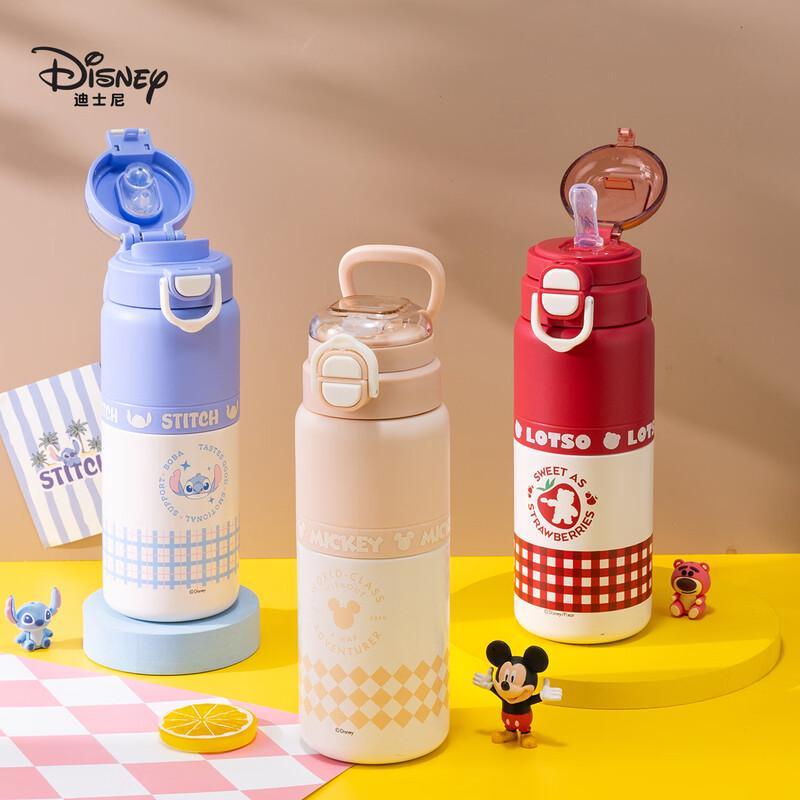 Disney Cartoon Insulated Water Bottle