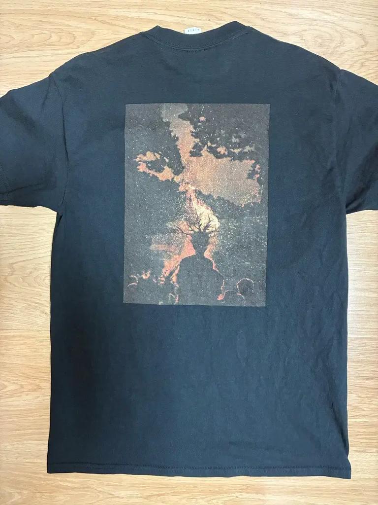 Shoe Apple Non-Caliber 19 Short Sleeve Goods Used