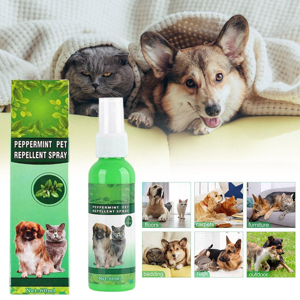 Neue High-end-Haustier Floh Mörder Tropfen 60ml Anti Flöhe Zecken Katzen Milbe Antiseptische Läuse Wunde Pet Es i4A1