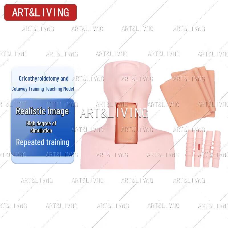 ART&LIVING Cricothyroidotomy & Tracheostomy Training Manikin