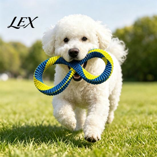 Exercise Toys for Pet Dogs Dog Tug Toy, Nylon 8-Shaped Chew Interactive Teeth Cleaning Training Rope Aggressive Chewers, Outdoor Training, of