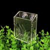 Wall Hanging Aquarium Plants Cup Floating Transparent Aquatic Planter Holder With Suction Cups Adjustable Fish Tank Planting Cup