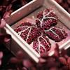 Luxury Parisian Butterfly Brooch: High-End Craftsmanship & Runway Style