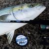 Used VARIVAS Shore Record Shock Leader Fluorocarbon 30m 30lb (No. 8)