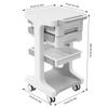 3-Tier Beauty Equipment Cart - 2 Silent Drawers & Locking Wheels 110lbs Load for Salon/SPA/Mobile Storage