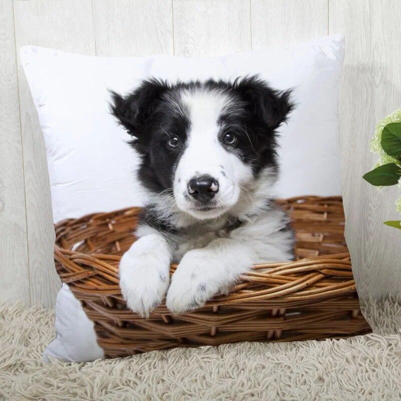 Pillowcase Border Collie  Modern Home Living Room Decor