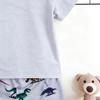 Toddler Boys Cool Multicolor Dinosaur Skeleton 2-Piece Outfit, Summer Gray Cartoon Clothes for Kids, Perfect for Playwear & Outdoor