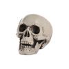 Halloween Skull Head Decor Plastic Realistic Human Skull Figurine for Graveyard Scene Haunted House Bar Home Table Decorations