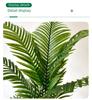 Popular Indoor Areca Palm Potted Plant - Large Green Decoration for Living Room