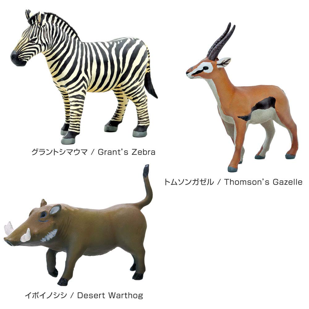 Calorata 3D Ilustrovaná Krabice s Reálnou Figurkou (Zoogeografická zóna 1: Etiopie  12 druhů) Zvířata, Savci, Ptáci (Zahrnuje instrukce) Skutečná postava