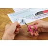 Takagi Minecraft Scissors Stainless Steel 100mm MS-100
