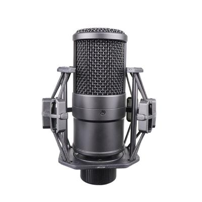 Accesorios para audio y video – Micrófonos