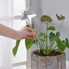 Imitation Glass Bird Automatic Watering Device Home Drip Irrigation Watering Tool Creative Potted Automatic Water Seepage Device