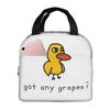 Got Any Grapes Insulated Lunch Bag for Women Children Portable Food Boxes Thermal Lunch Box Tote