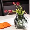 Transparent Pomegranate Glass Vase Plant Pots Table Decoration Flowers Arrangement Decorative Floral Vases Room Aesthetic Decor