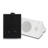 Tianlai 4-inch Wall-Mounted Triangular Conference Room Speaker Sp-0204.
