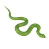 Decoration Flexible Eco-friendly Soft Animal Model Children Educational Toys Trimeresurus Stejnegeri