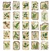 50 Botanical Garden Label Stickers for Journals, Phones, Guitars, Water Cups - Green Eye Protection