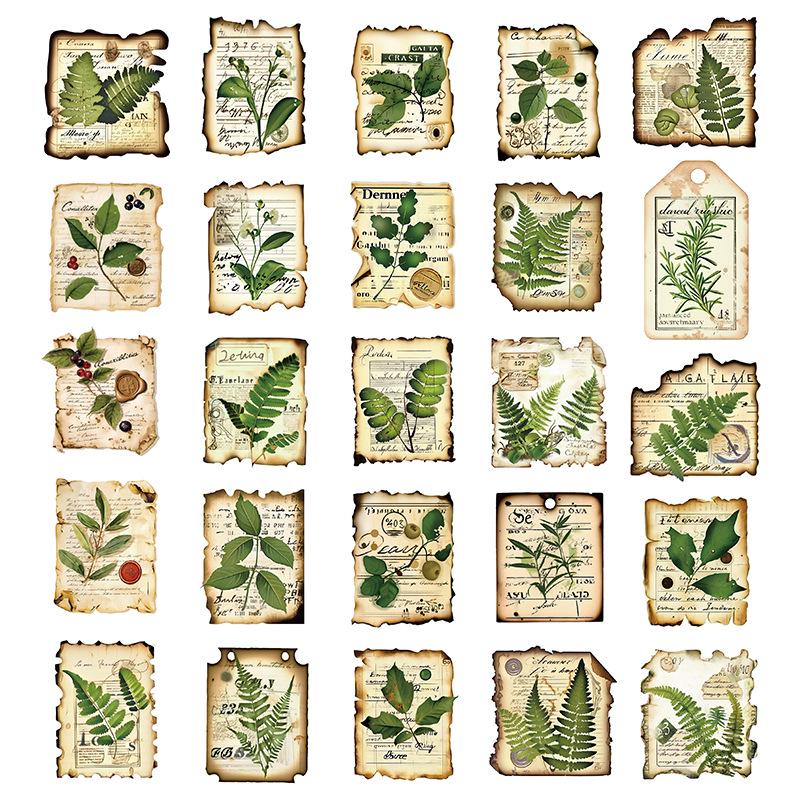 50 Botanical Garden Label Stickers for Journals, Phones, Guitars, Water Cups - Green Eye Protection