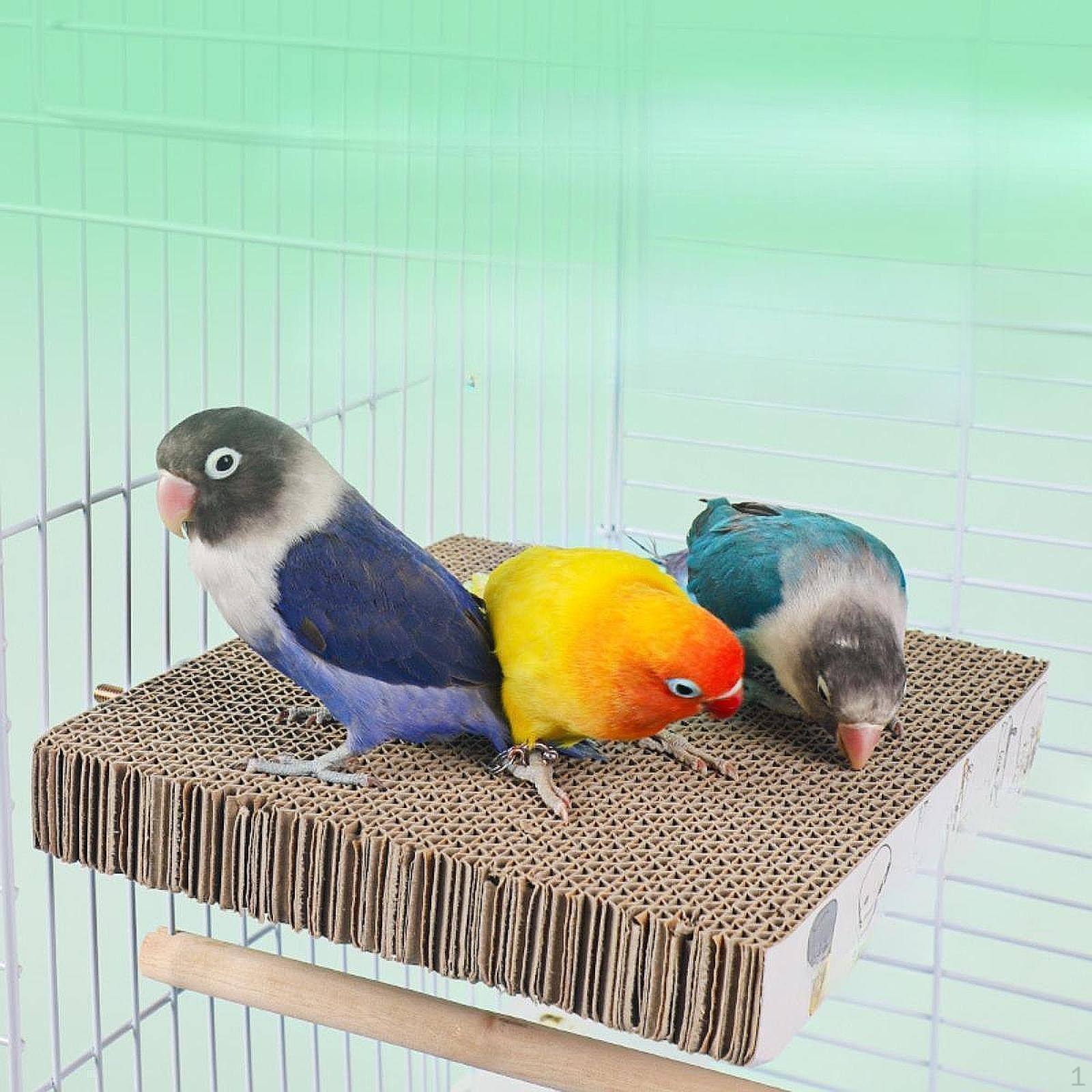 

Подставка для жердочки, платформа, игрушка для кормления, подставка для шлифовки лап, игрушка-попугайчик, жевательная игрушка для кореллы S