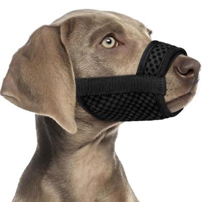 Köpek – Ağızlıklar