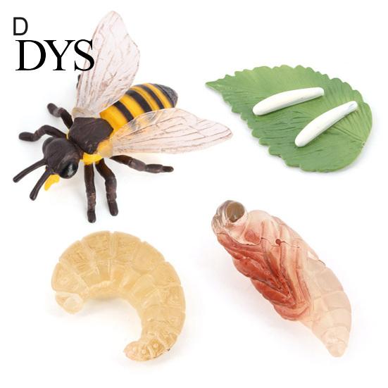 4Pcs/5Pcs Frog Tarantula Butterfly Bee Animal Growth Observation Model Toys