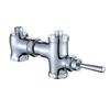 Copper Horizontal Delay Flush Valve