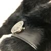 GUCCI 185746 G logo Fur tippet  Scarf fur Black
