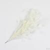 25 30cm Colored Chicken Feather Sprays On Wire For Florist Decor