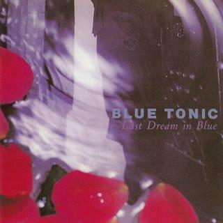 

CD BLUE TONIC - Last Dream In Blue TECN15270 Baidis 1994 Japan Rock Used