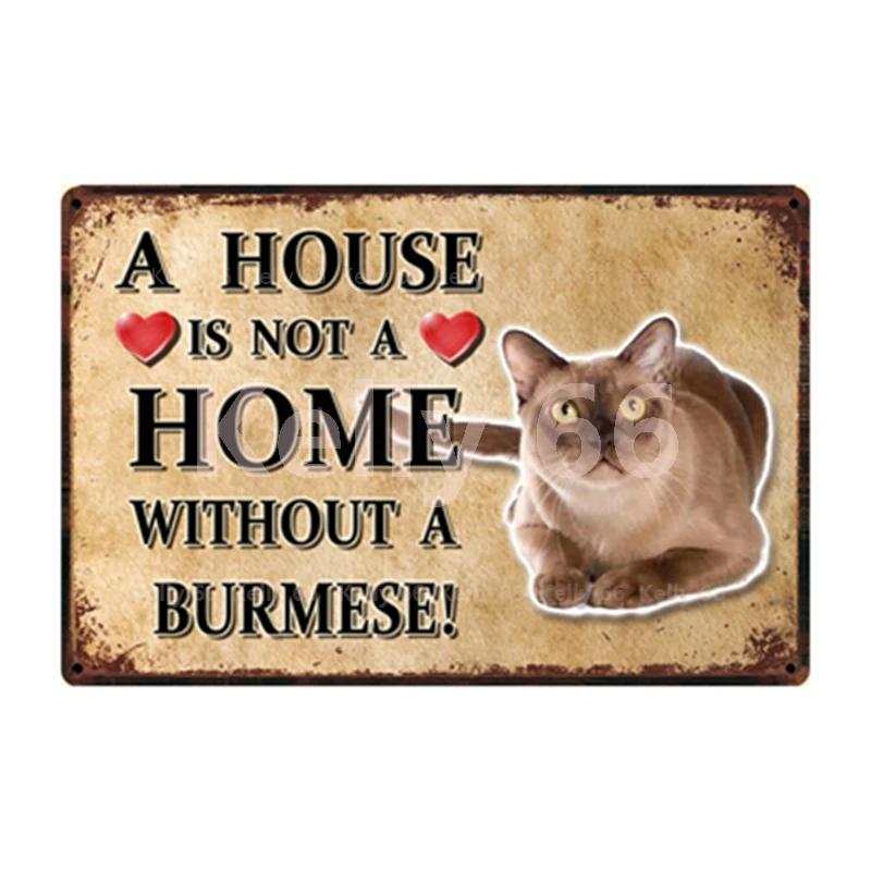 [ Kelly66 ] Pets Cat Bombay Siamese Burmese Birman Abyssinian Metal Sign Home Decor Bar Wall Art Painting 20*30 CM Size Dy147