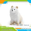 Children's Cognitive Simulation: Wild Animal Models - Rain Frog, Clown Frog, Otter, Seal, Pufferfish, Raccoon, Cat Ornament