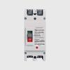 Molded Case 2P Circuit Breaker 100-250A Single-Phase 220V Double Pole Air Switch