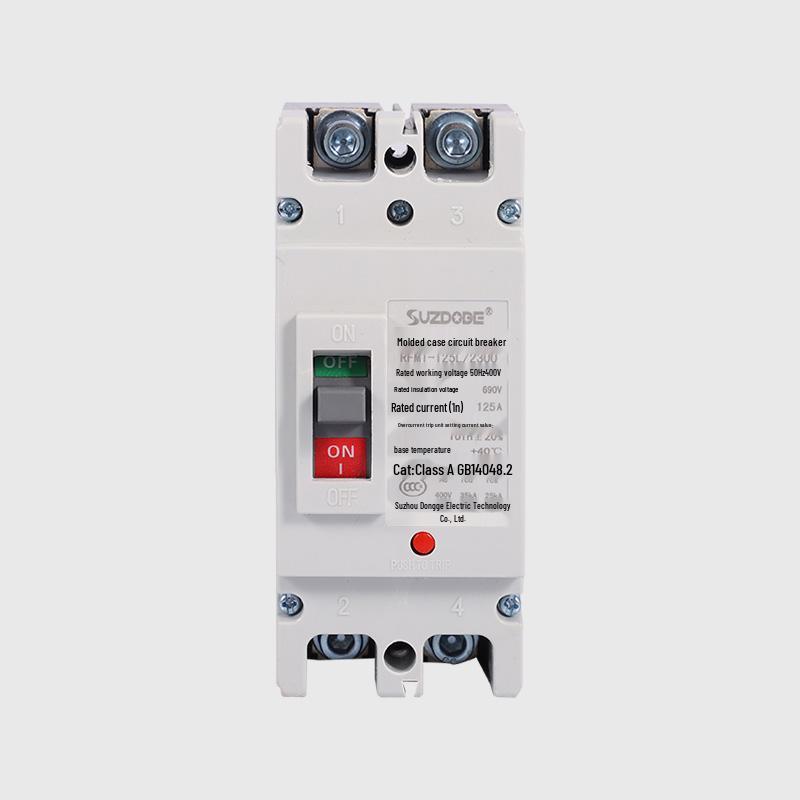Molded Case 2P Circuit Breaker 100-250A Single-Phase 220V Double Pole Air Switch