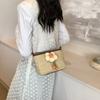 Stylish Retro Small Square Shoulder Bag 2024 Spring Trend Casual Crossbody Bag For Women In Khaki Beige