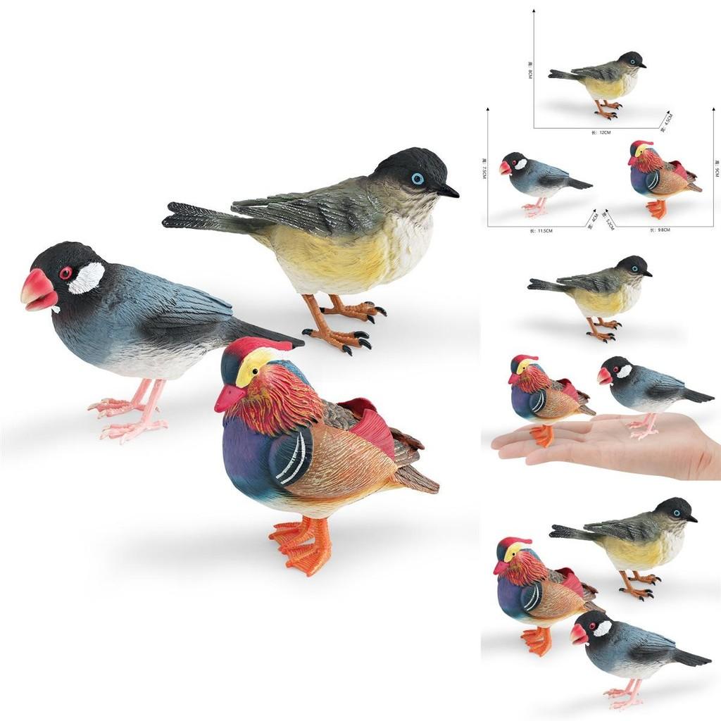 Animal Model Desktop Decor With Plastic Material For Educational Display And Bird Enthusiasts
